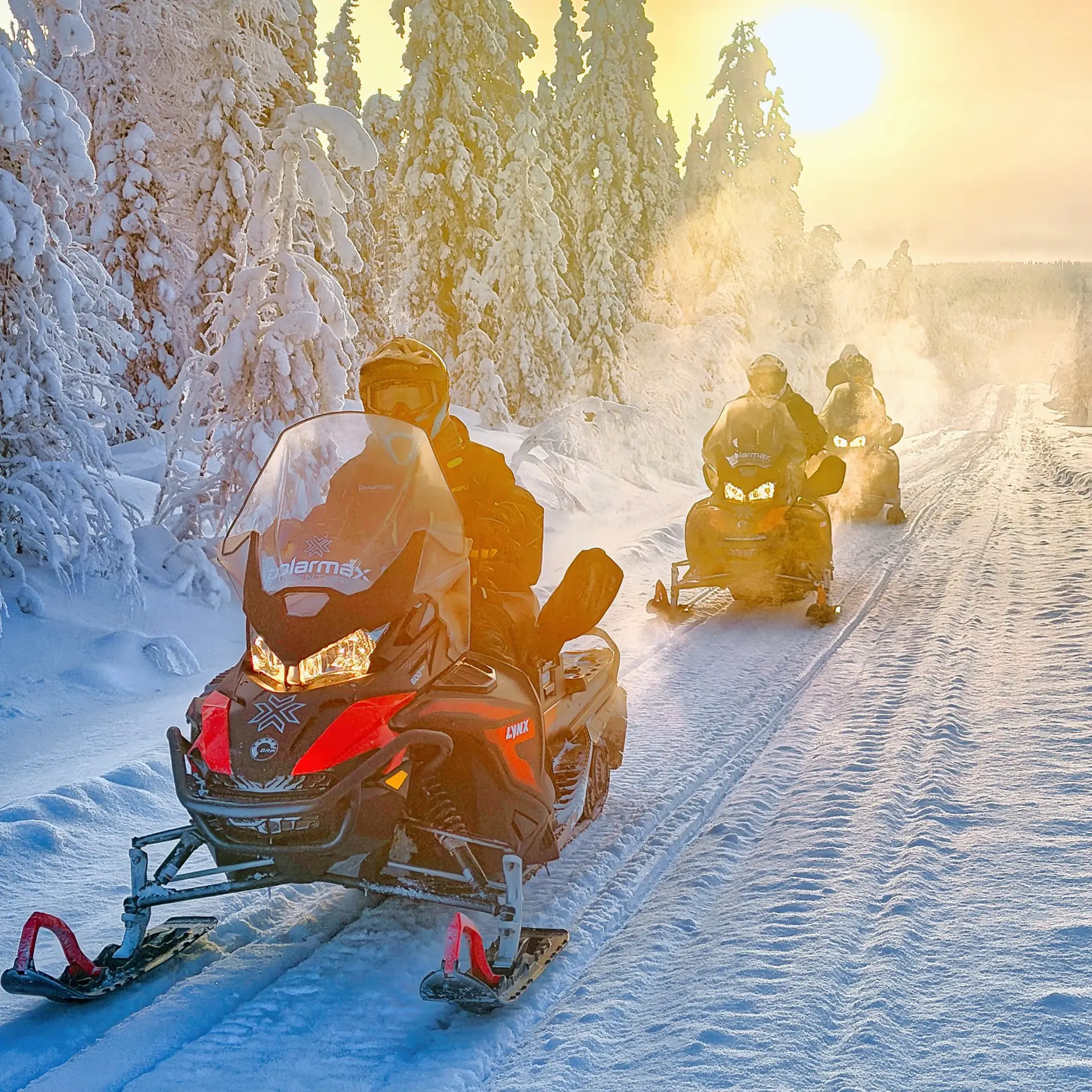 Snowmobile Tours