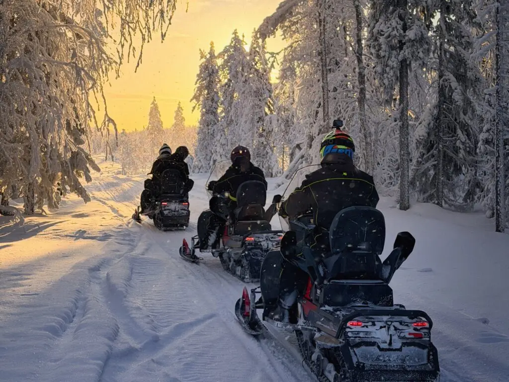 Kleine groep sneeuwscooters in een besneeuwd bos aan het eind van de middag