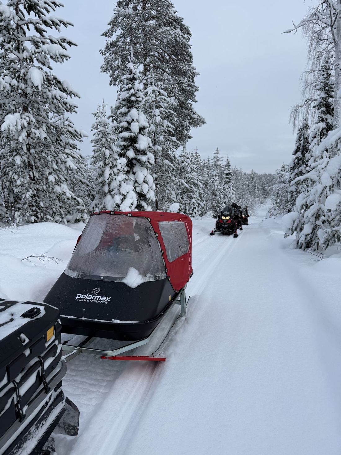 The covered red children's sledge behind the guide's snowmobile on a forest trail, with guest snowmobiles following