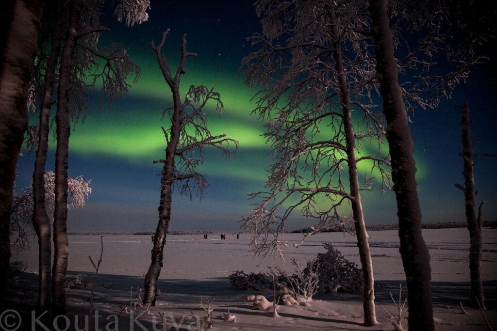 Groen noorderlicht boven een bevroren meer en berken in Lapland