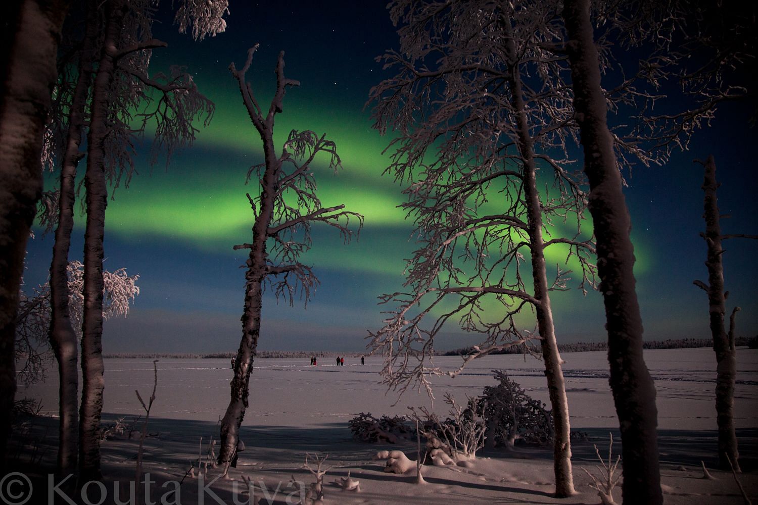 Snowmobile Tours