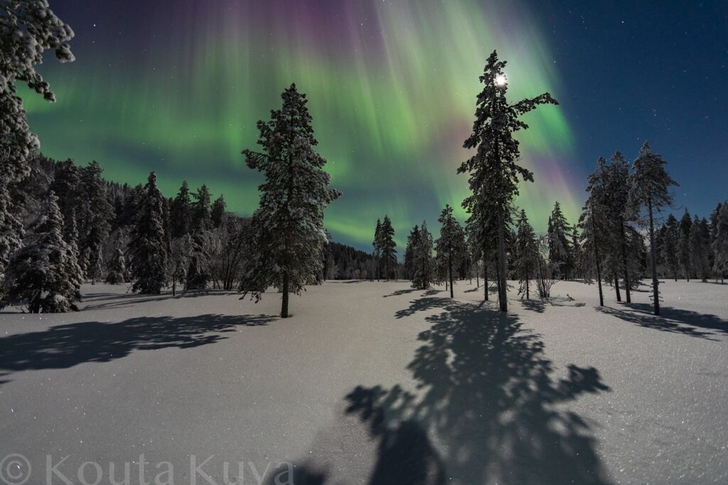 Snowmobile Tours in Rovaniemi, Lapland